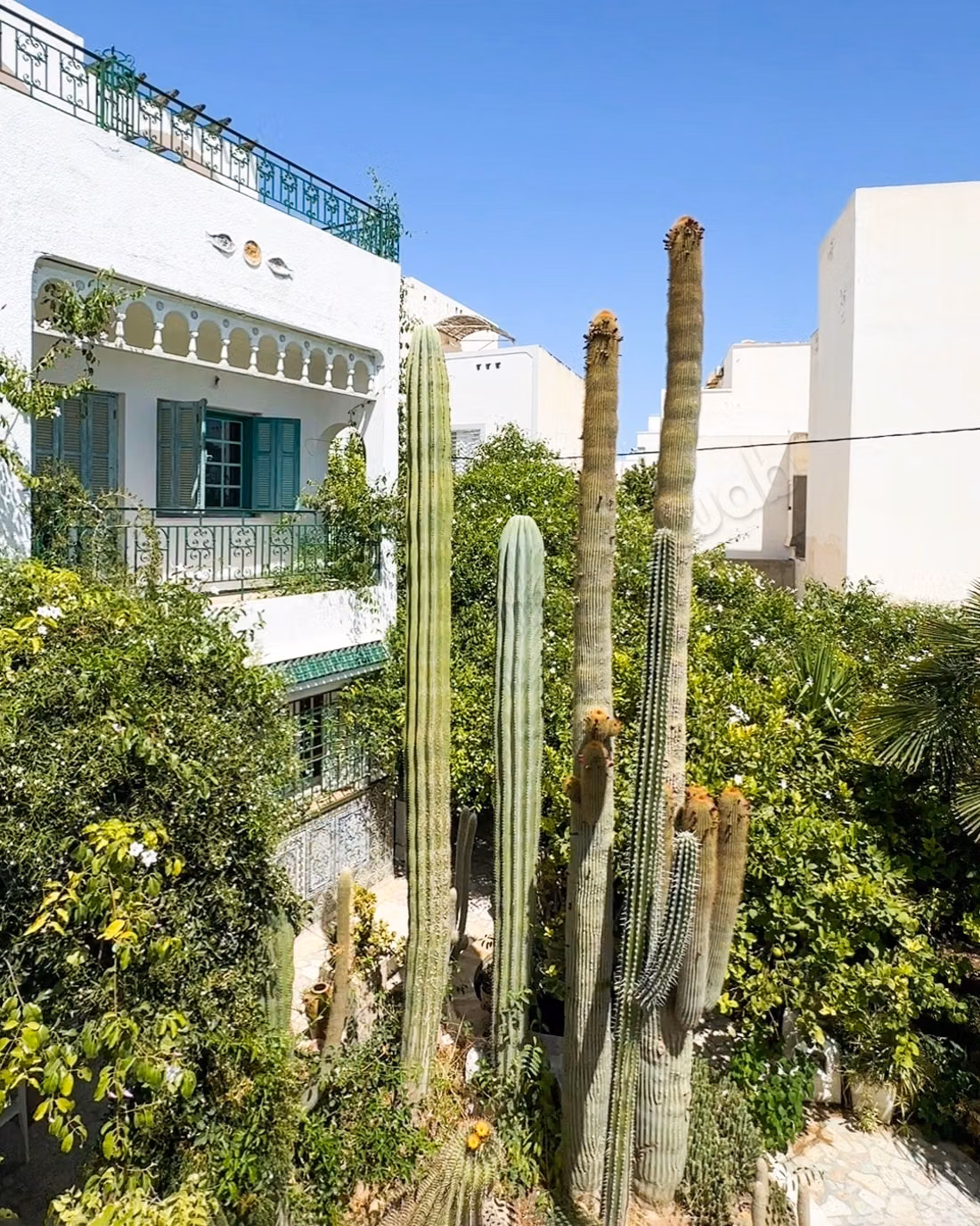 A vendre maison arabe andalo à Hammamet Nord