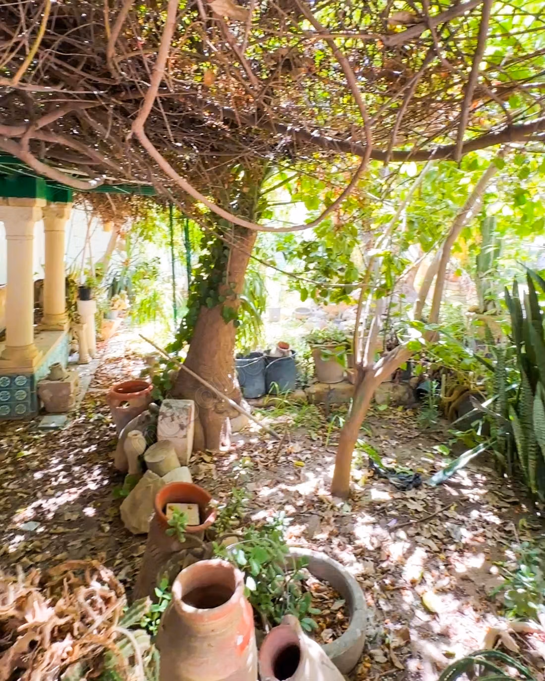 A vendre maison arabe andalo à Hammamet Nord