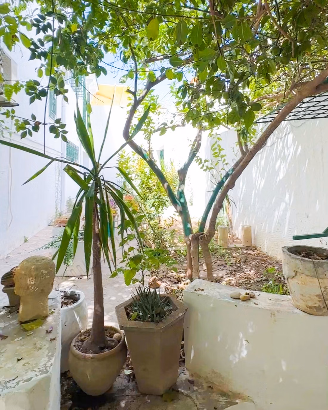 A vendre maison arabe andalo à Hammamet Nord