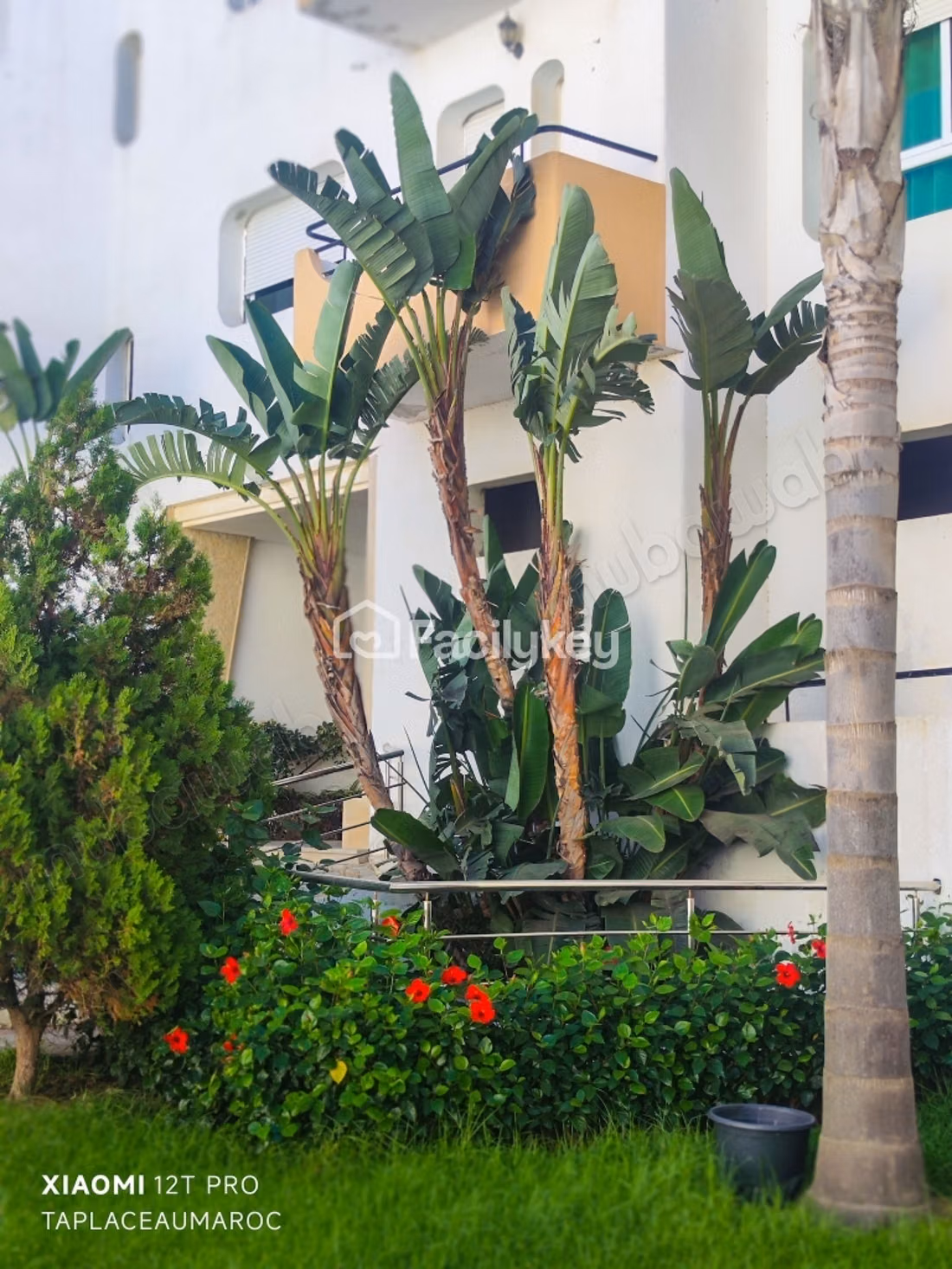 Appartement de 67 m² à Tanger