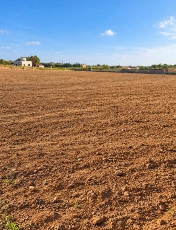 Beau terrain à vendre à Choukka. Superficie totale 5000 m²