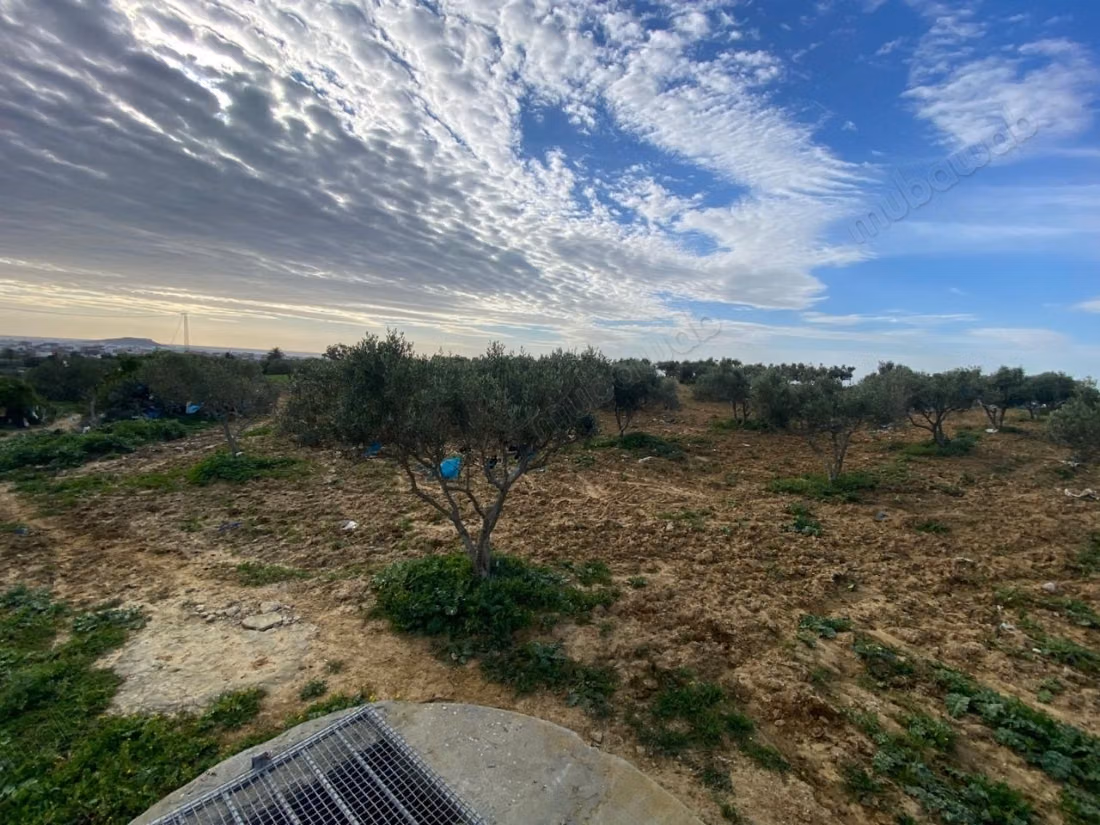 Exceptional agricultural land for sale of 9000 m²