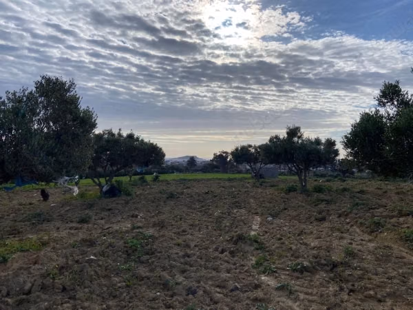 Exceptional agricultural land for sale of 9000 m2