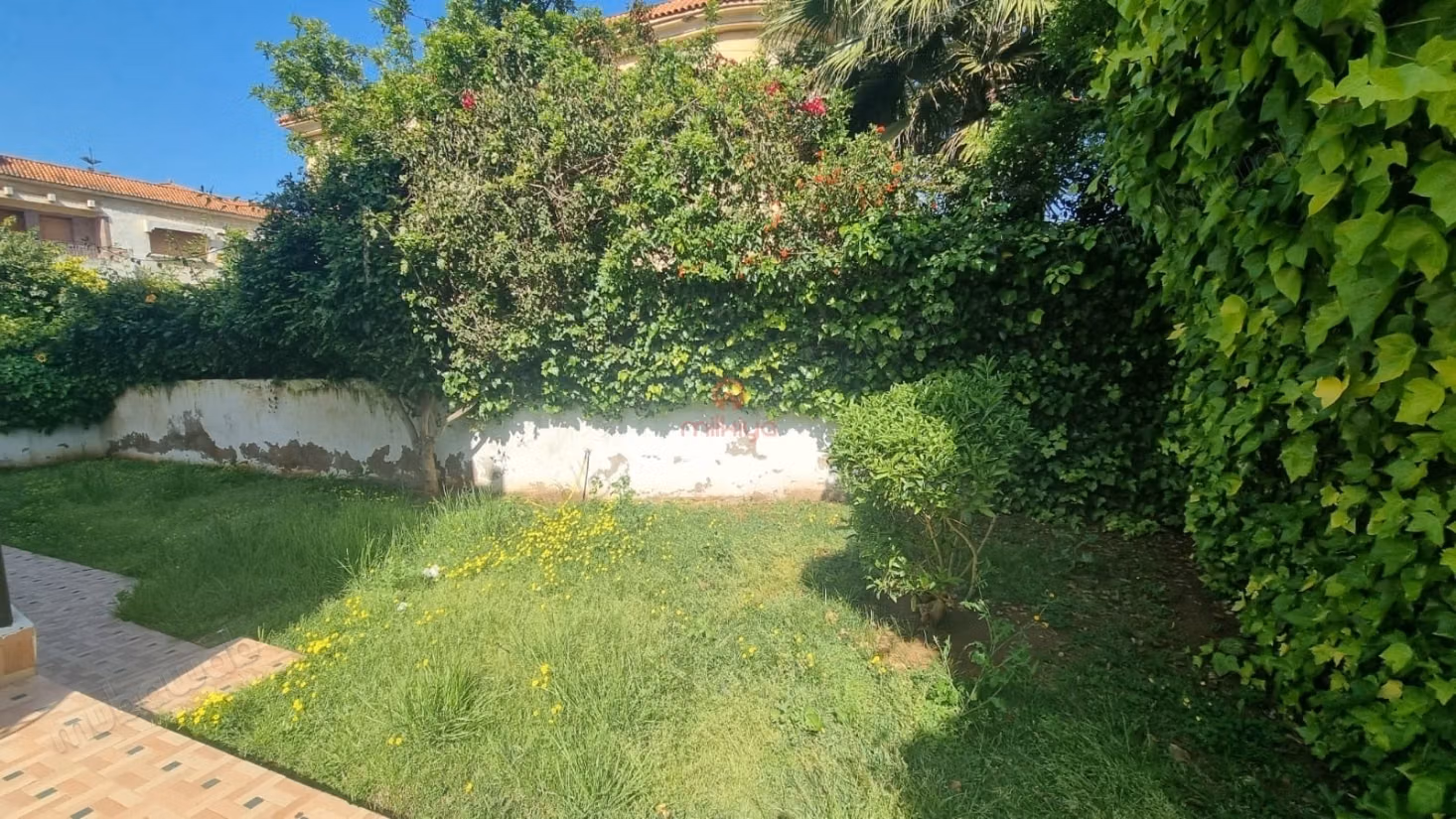 Villa for Rent in Ain Diab