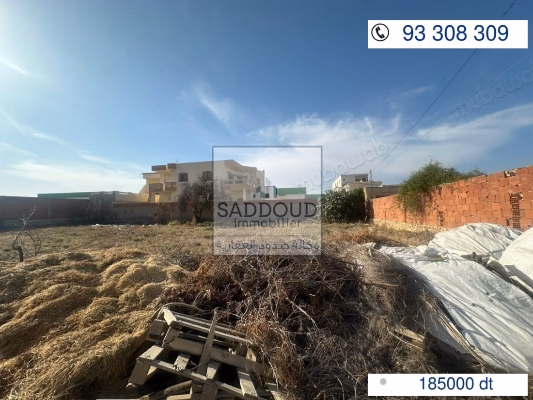 Terreno in vendita - strada Tanior KM 8