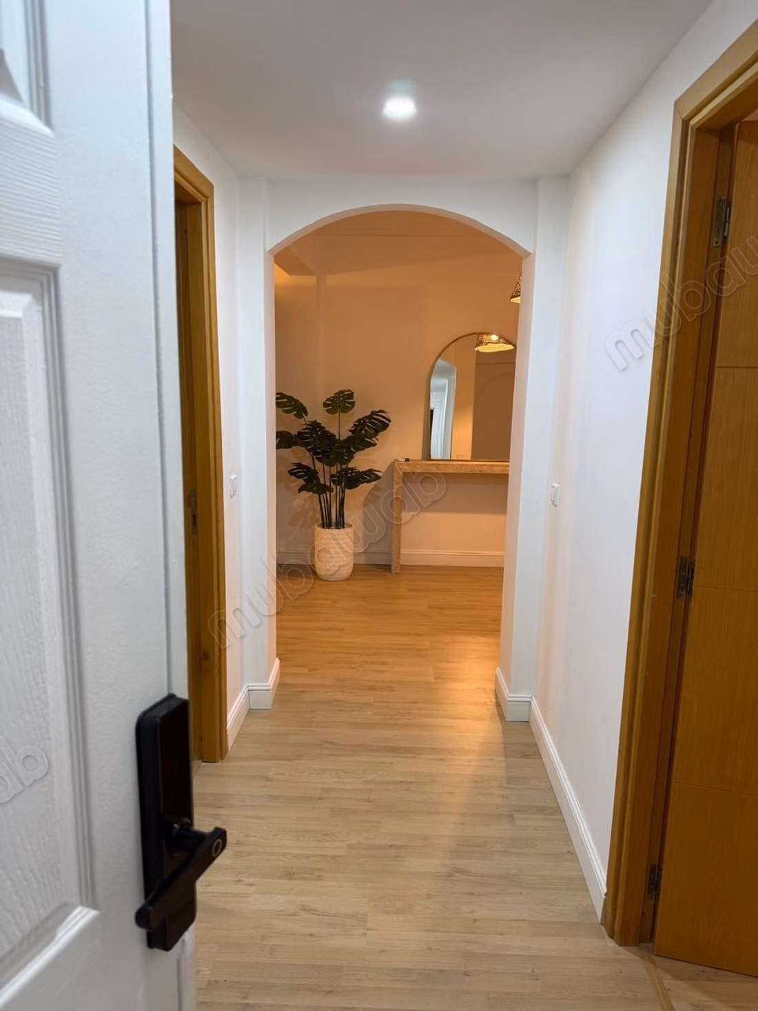 Opportunité à vendre studio izdihar