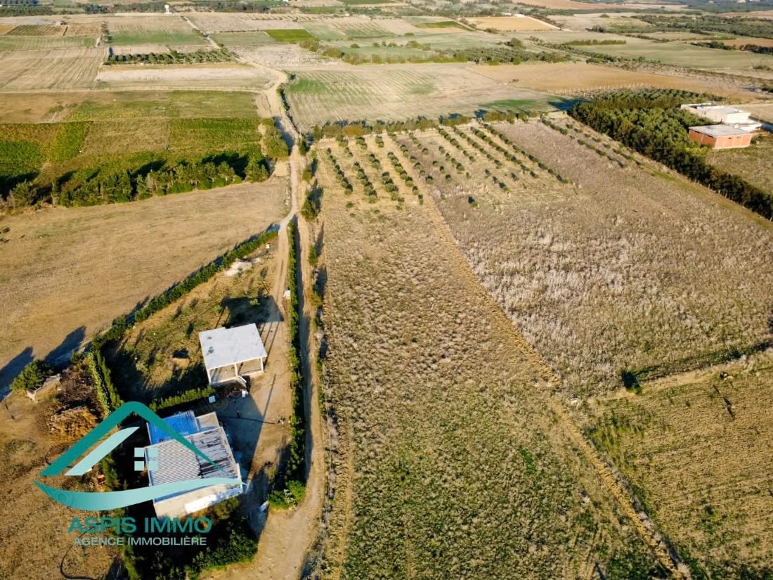 Terrain agricole 9300 m² à 4 km de kelibia