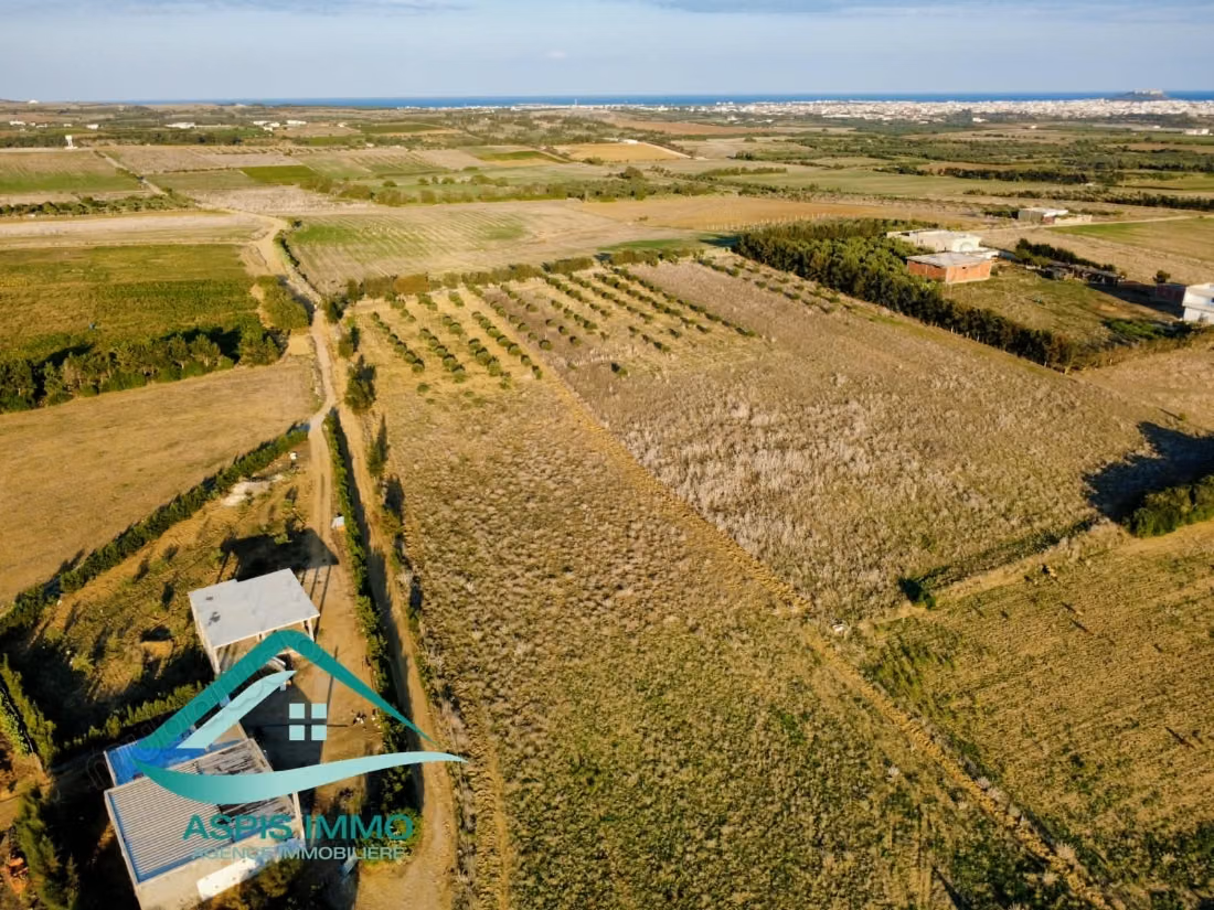 Terrain agricole 9300 m² à 4 km de kelibia