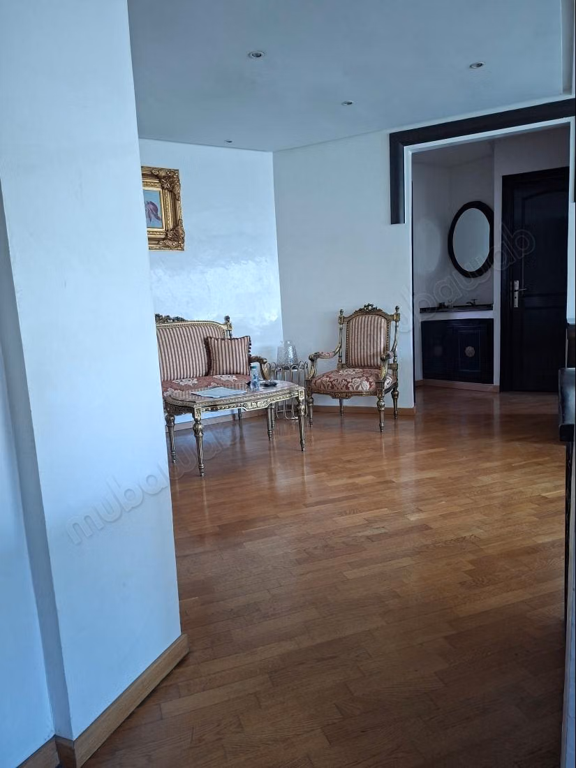 Apartment at Emile Zola