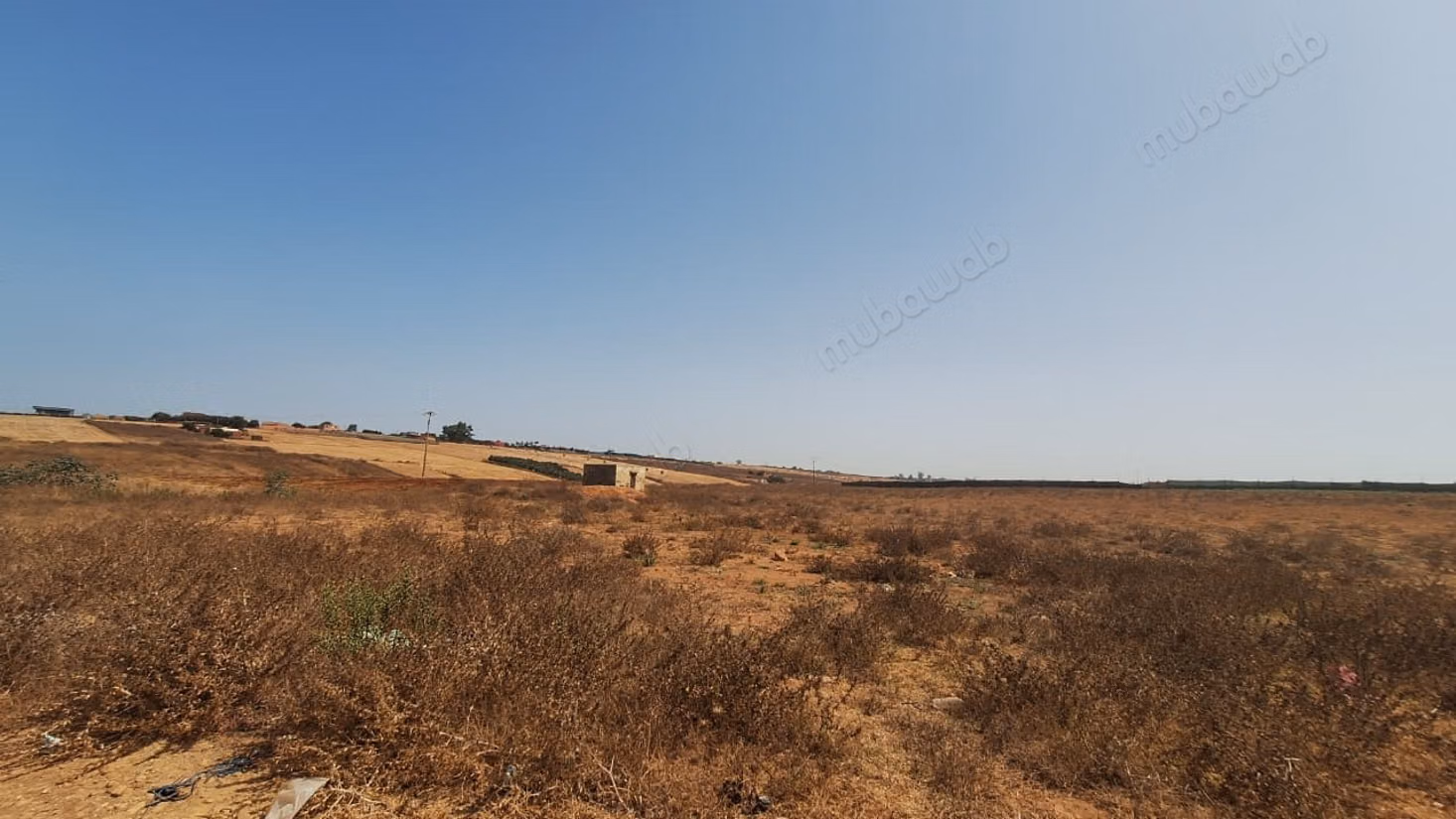 Terrain de 20 000 m² à vendre–Sidi Moussa Majdoub