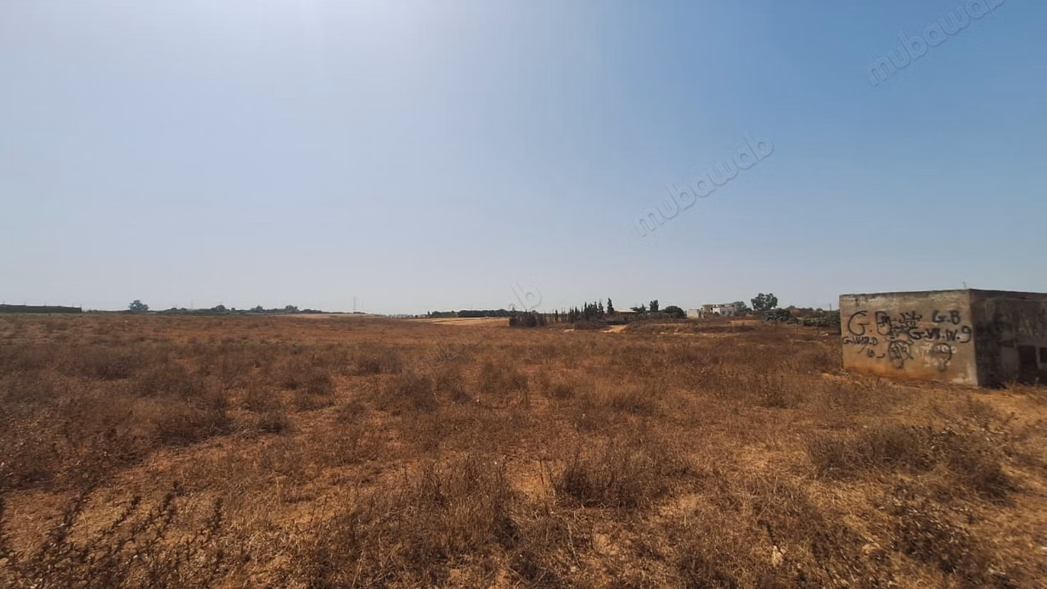 Terrain de 20 000 m² à vendre–Sidi Moussa Majdoub