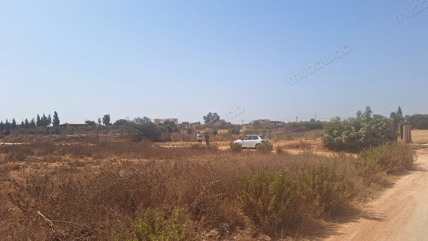 Terrain de 20 000 m² à vendre–Sidi Moussa Majdoub