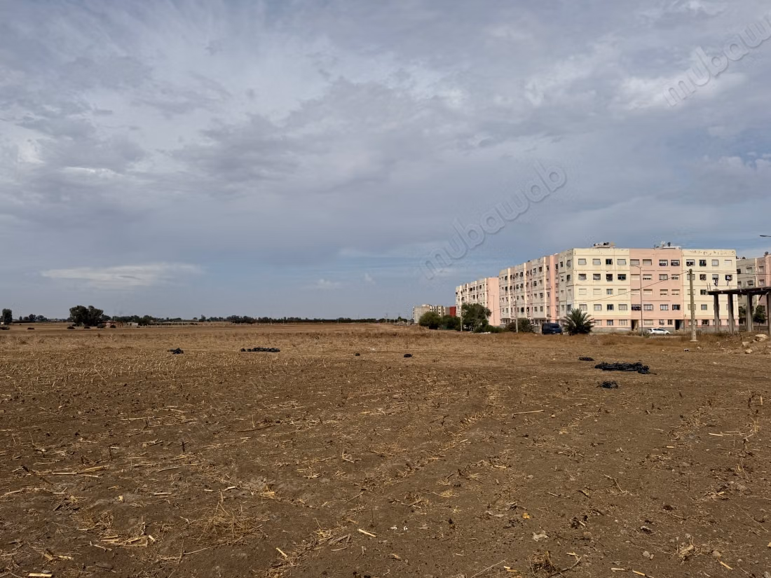 Vente terrain à Oasis.
Surface de 207200 m²