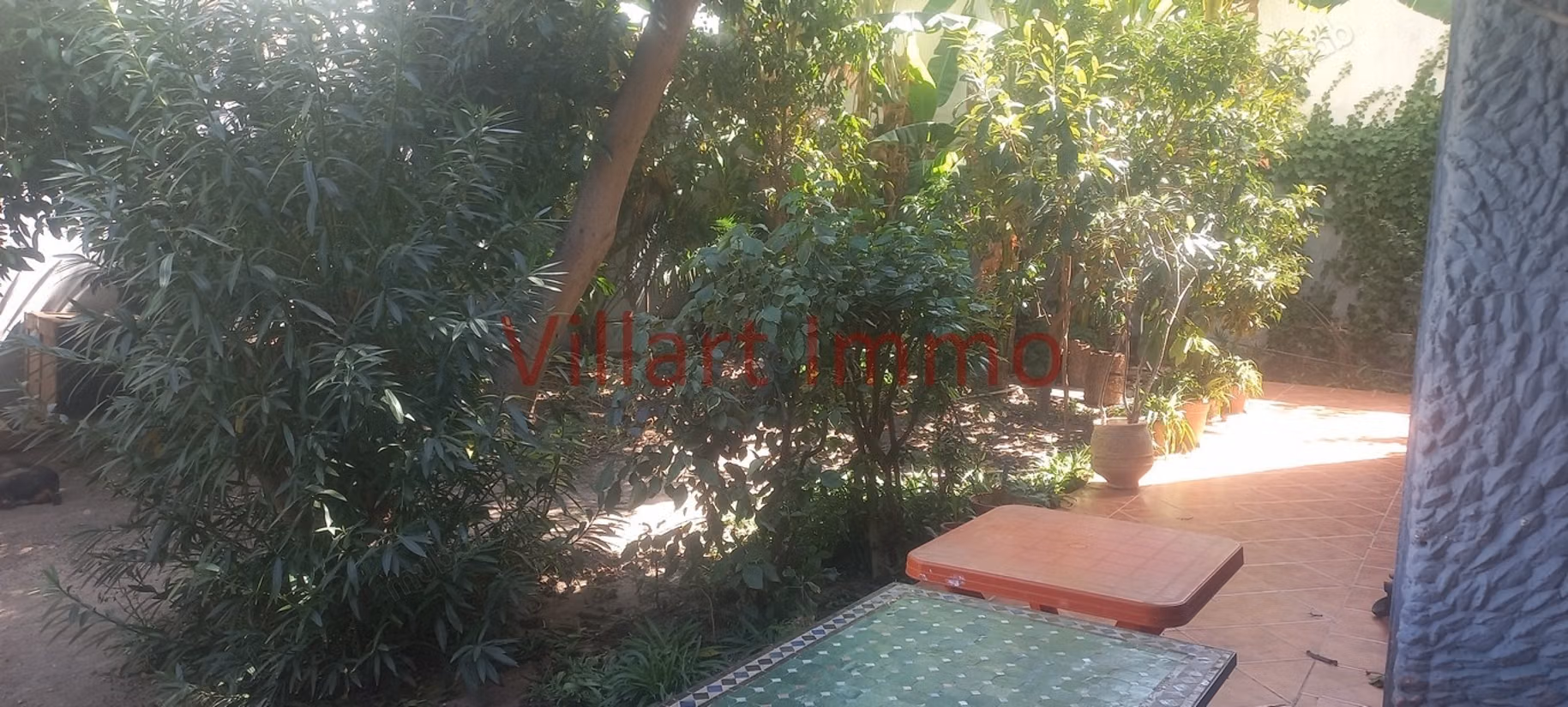 For sale house with garden, Syrian neighborhood