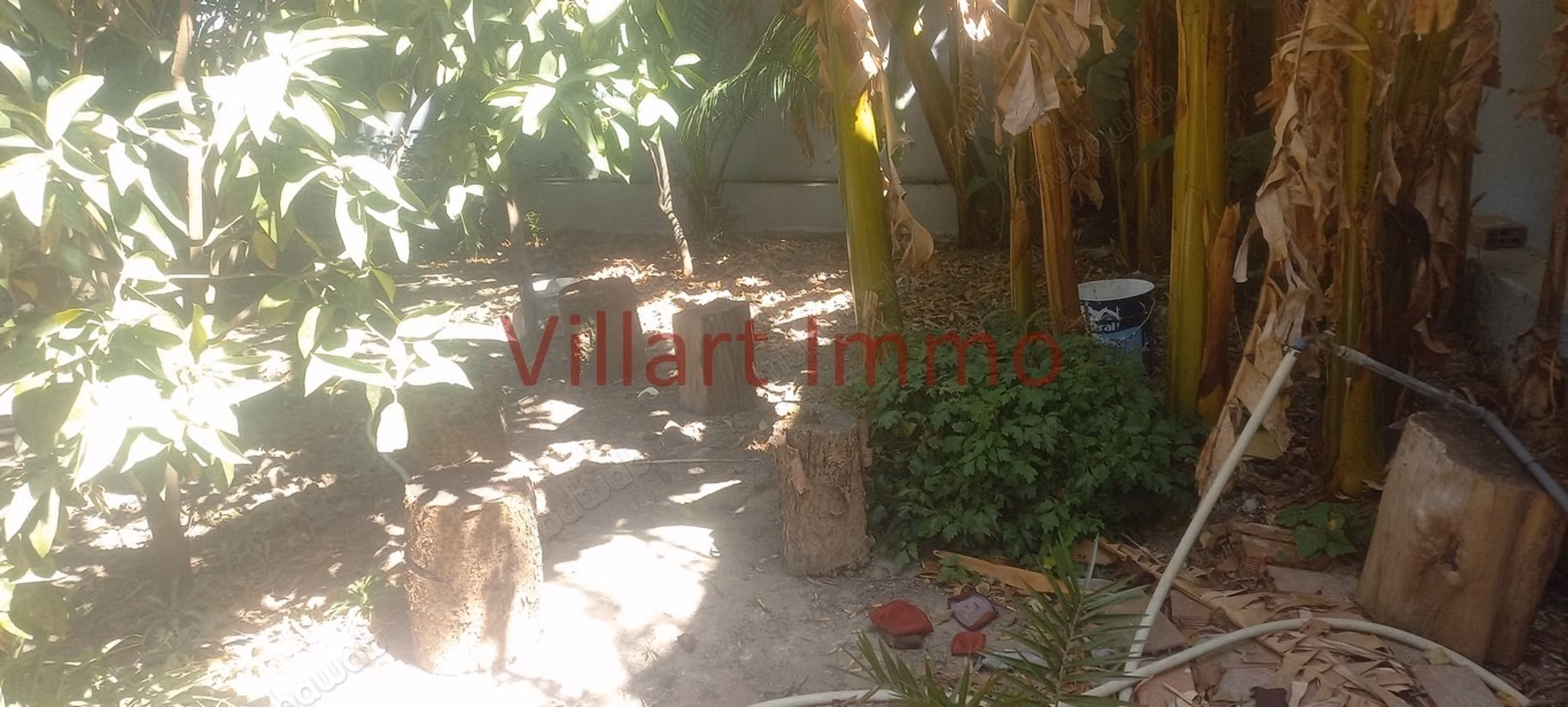 For sale house with garden, Syrian neighborhood