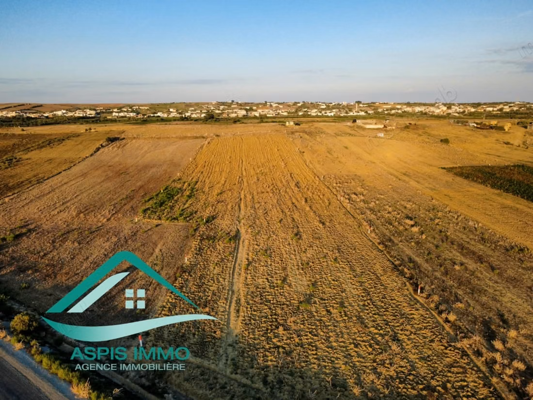 Terrain agricole 12000 m² à oued khatef kelibia