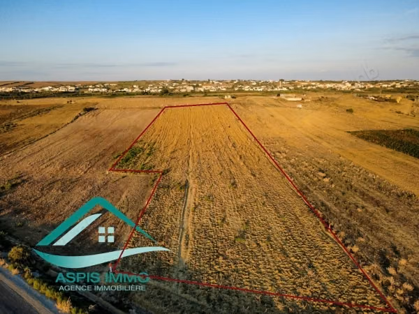 Terrain agricole 12000 m² à oued khatef kelibia