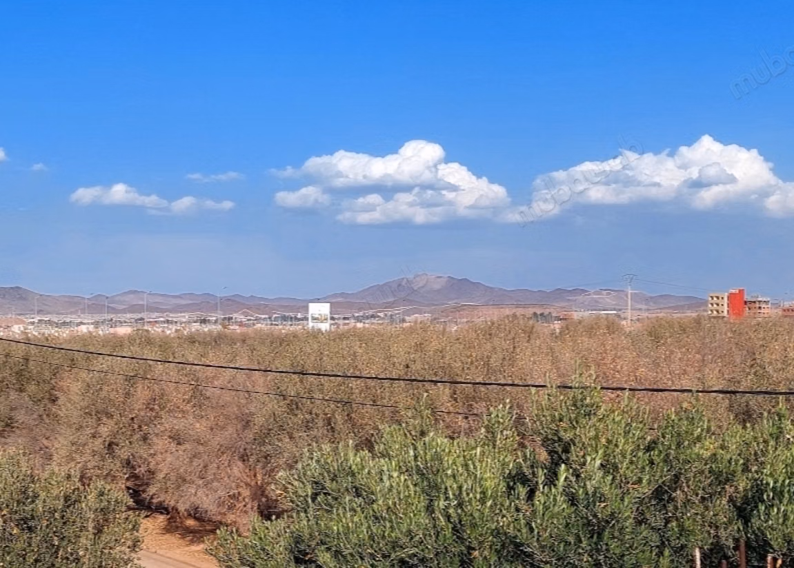 Terrain en vente à Azzouzia. 
Surface totale 140000 m²