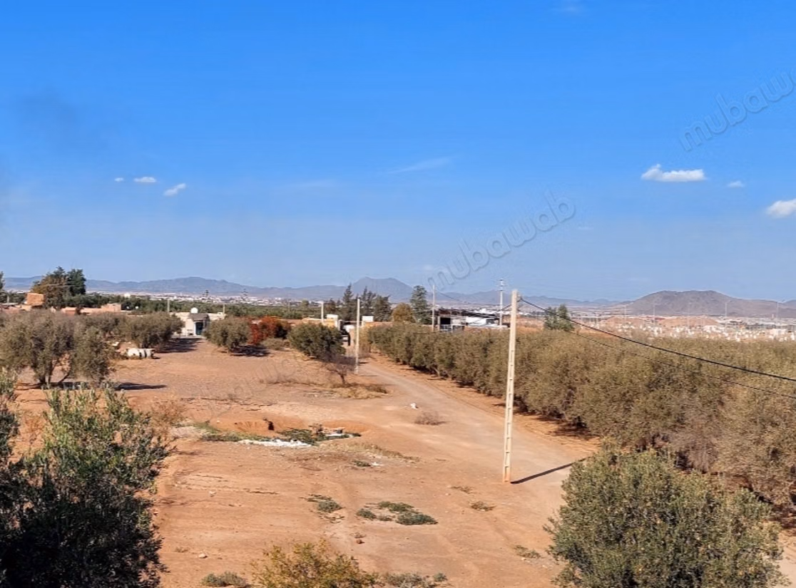 Terrain en vente à Azzouzia. 
Surface totale 140000 m²