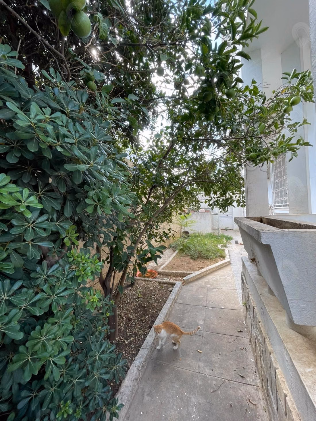 For sale villa S6 in the heart of Bardo