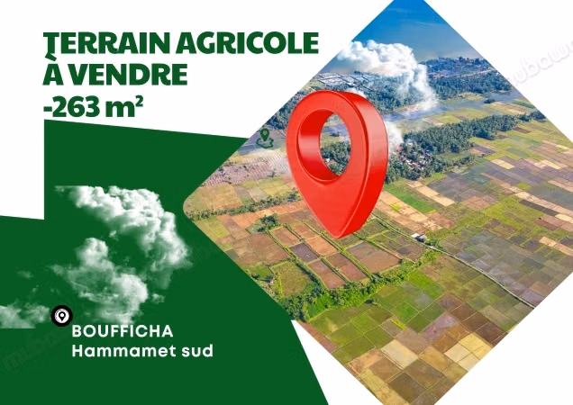 À vendre — terrain agricole de 263 m²