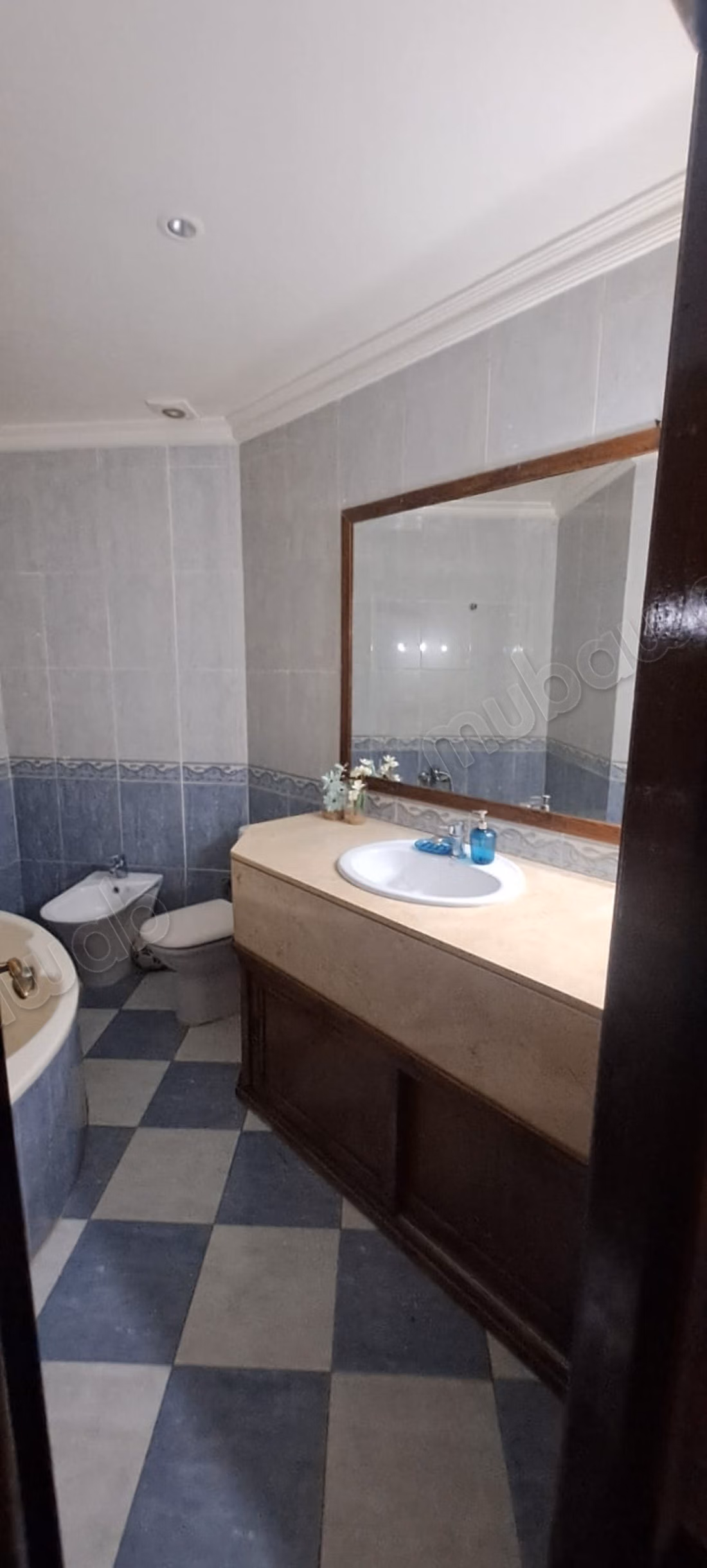 For rent furnished apartment in Palmier