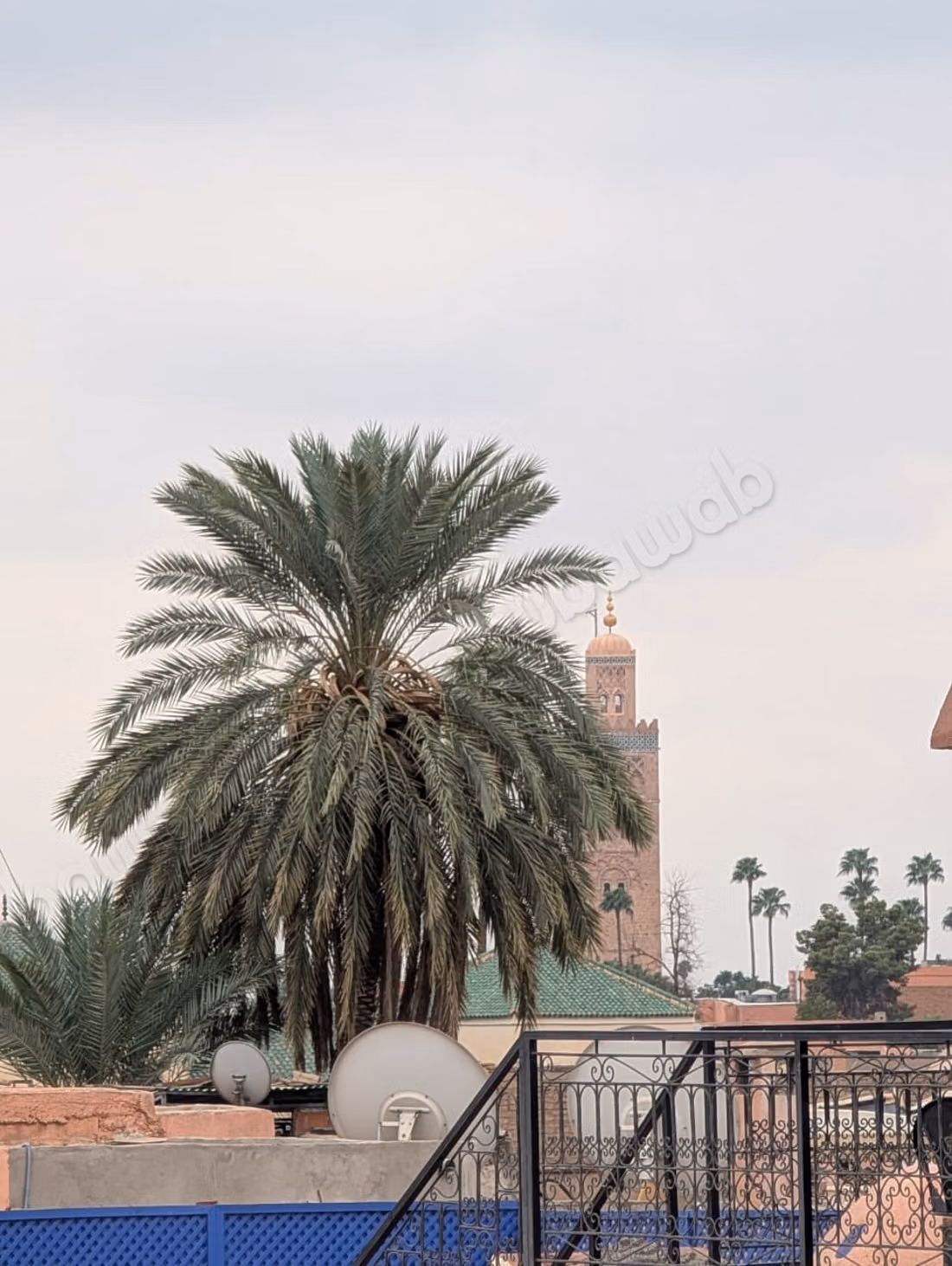 Historical Douiria with a view of the Koutoubia