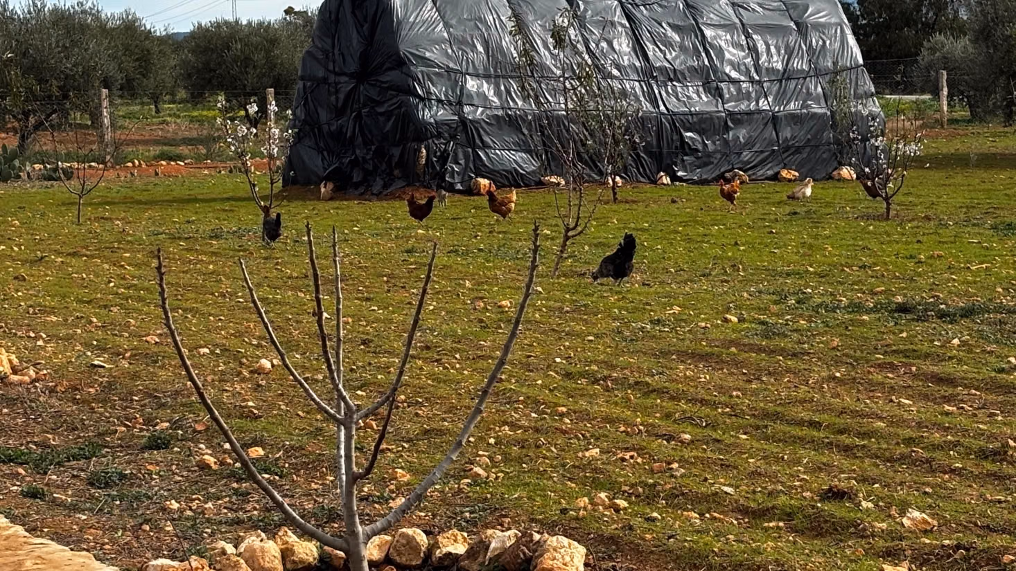 A vendre un terrain écotouristique à Siliana