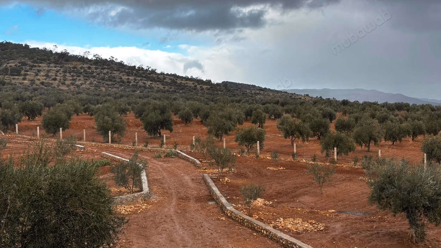 A vendre un terrain écotouristique à Siliana