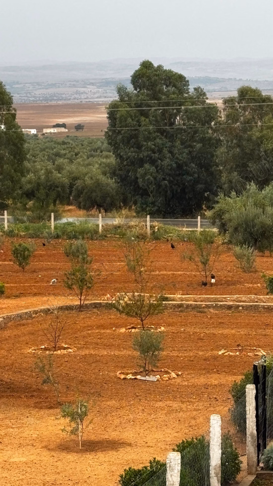 A vendre un terrain écotouristique à Siliana