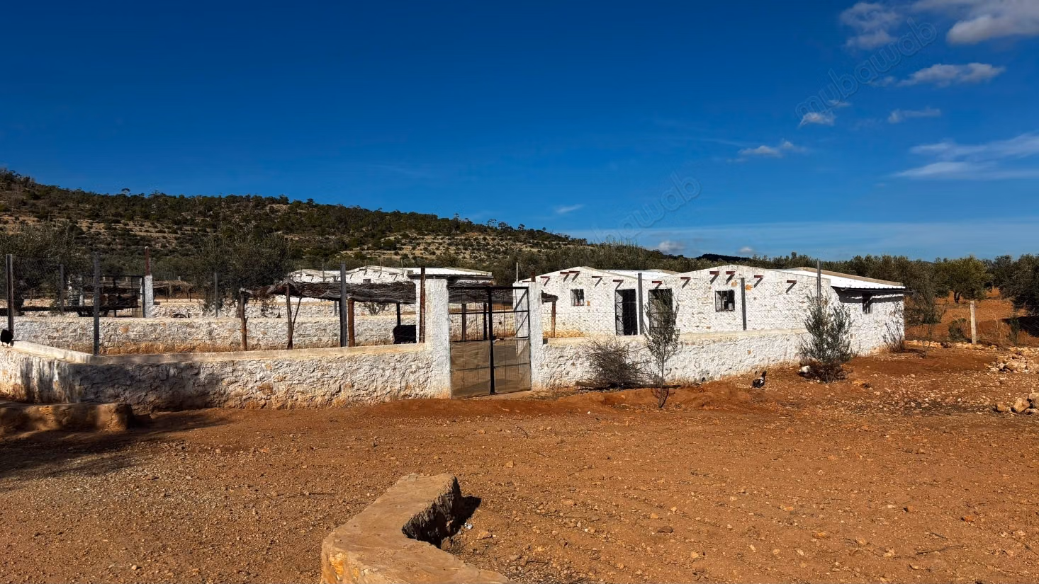 A vendre un terrain écotouristique à Siliana