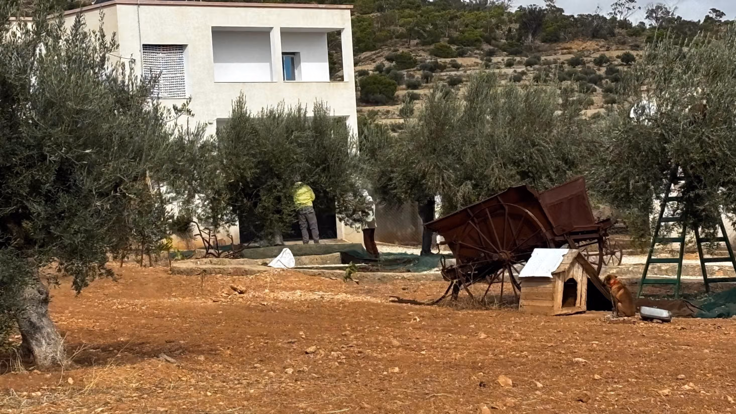 A vendre un terrain écotouristique à Siliana