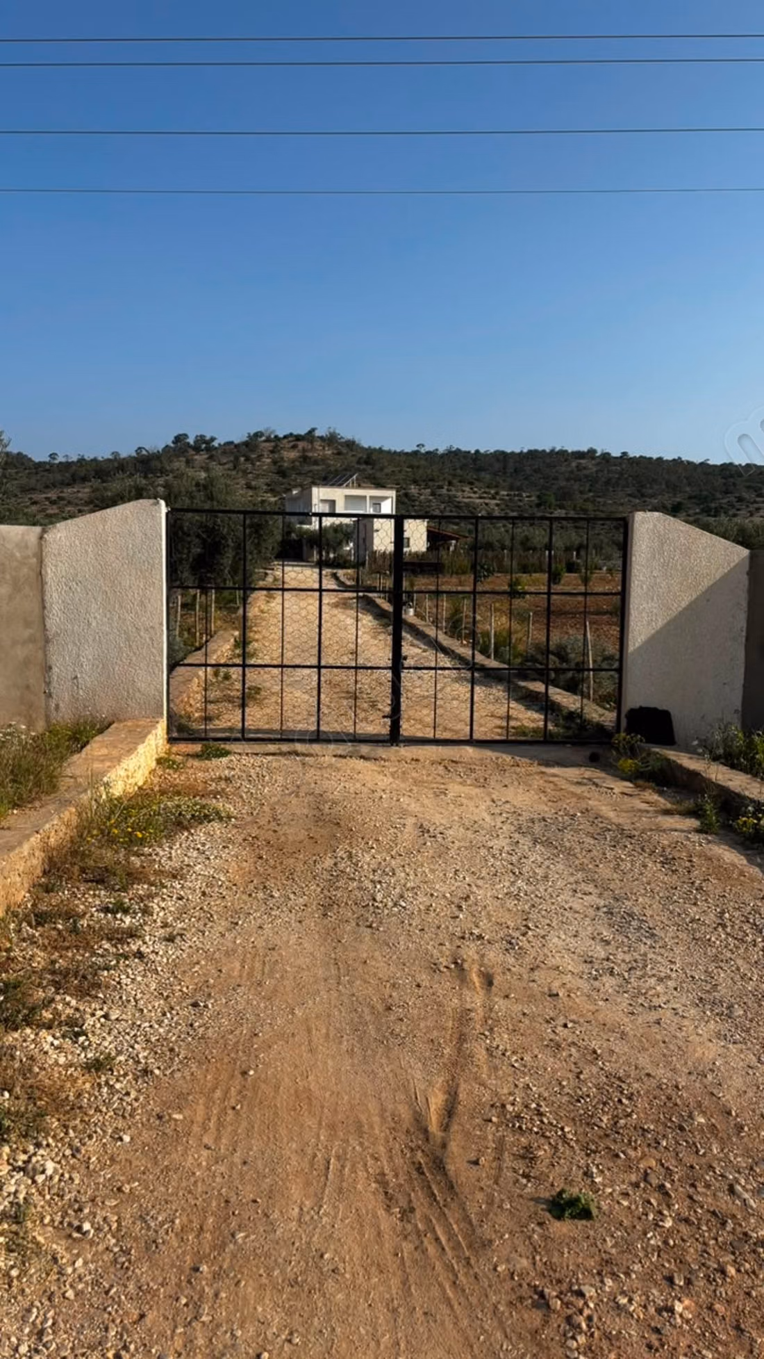 A vendre un terrain écotouristique à Siliana