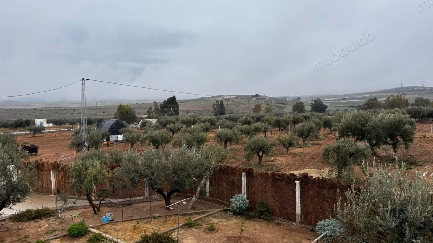 A vendre un terrain écotouristique à Siliana