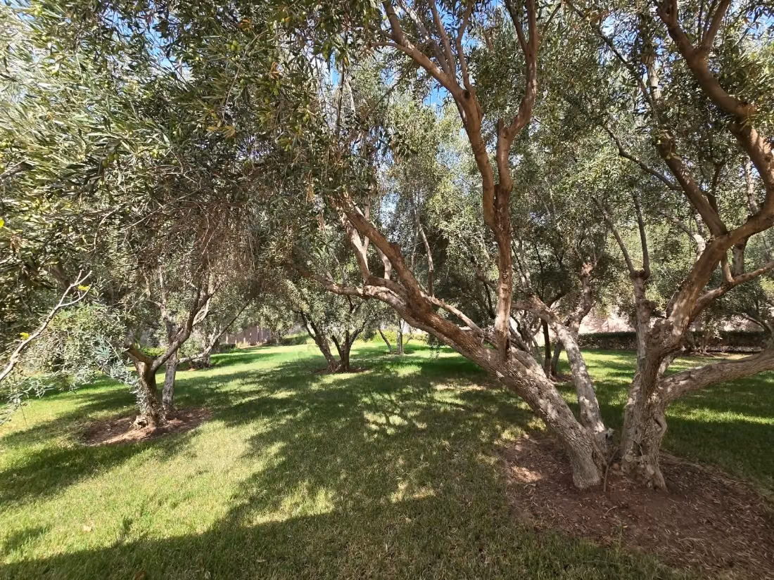 Luxury Villa for Sale, Marrakech