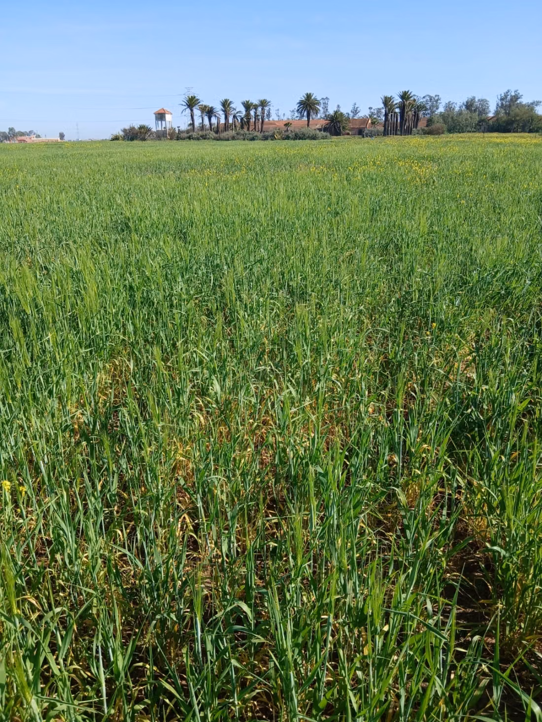Terreno con granja registrada de 54 H en venta