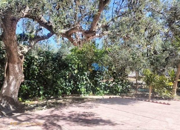 Maison S2 location annuelle Hammamet