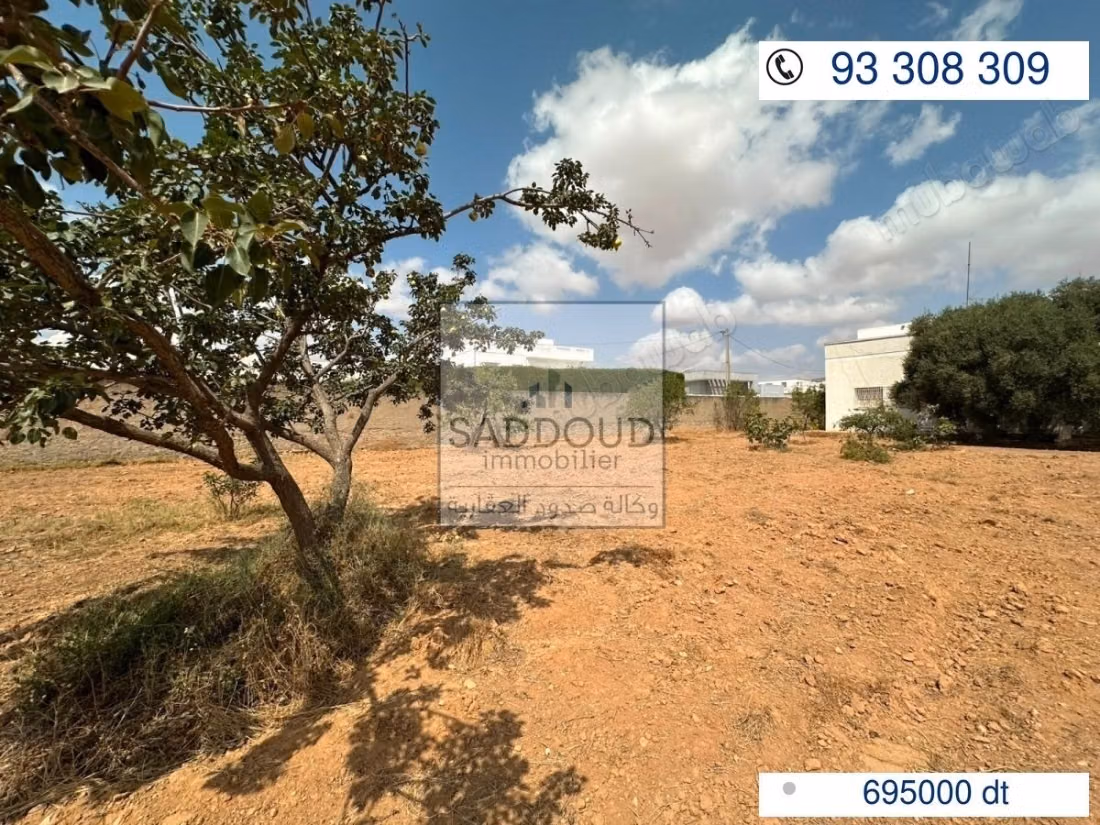 Terrain à vendre – route el ain km 4