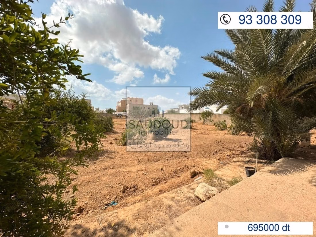 Terrain à vendre – route el ain km 4