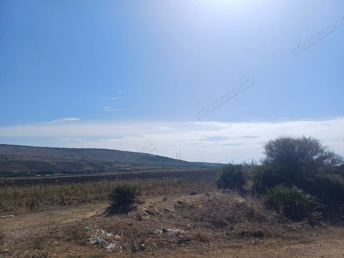 Grand Terrain titré