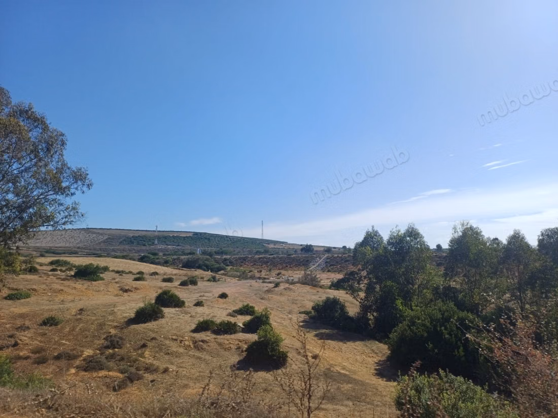 Grand Terrain titré