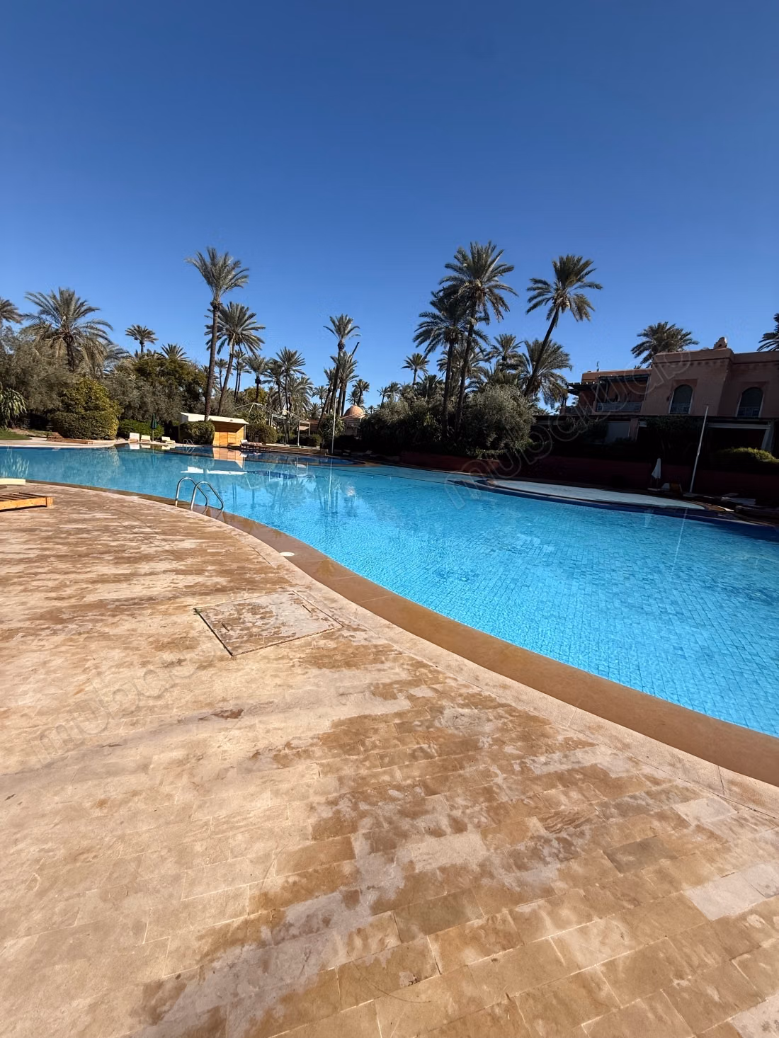 Rez de jardin meublé sur la palmeraie