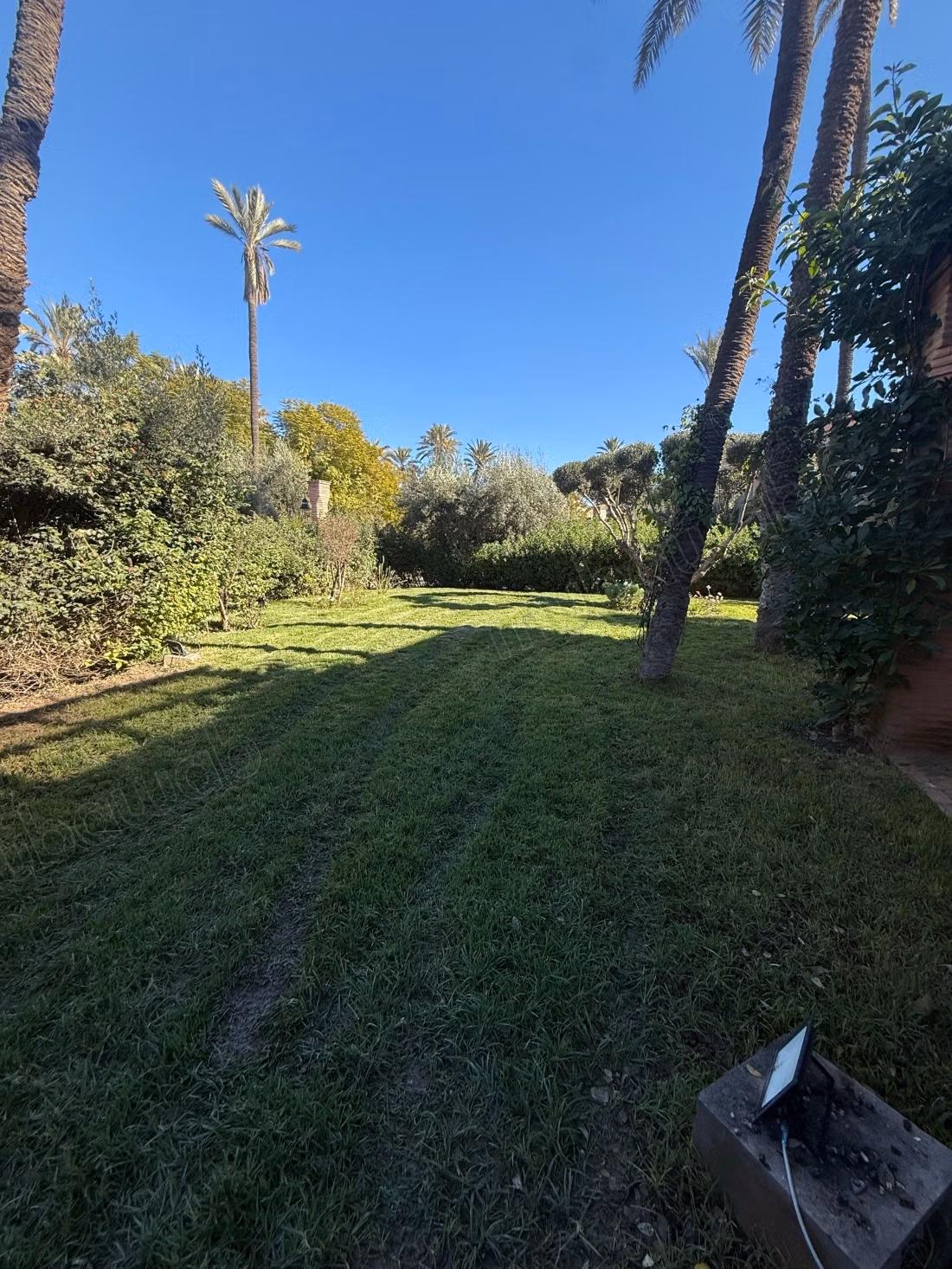 Rez de jardin meublé sur la palmeraie