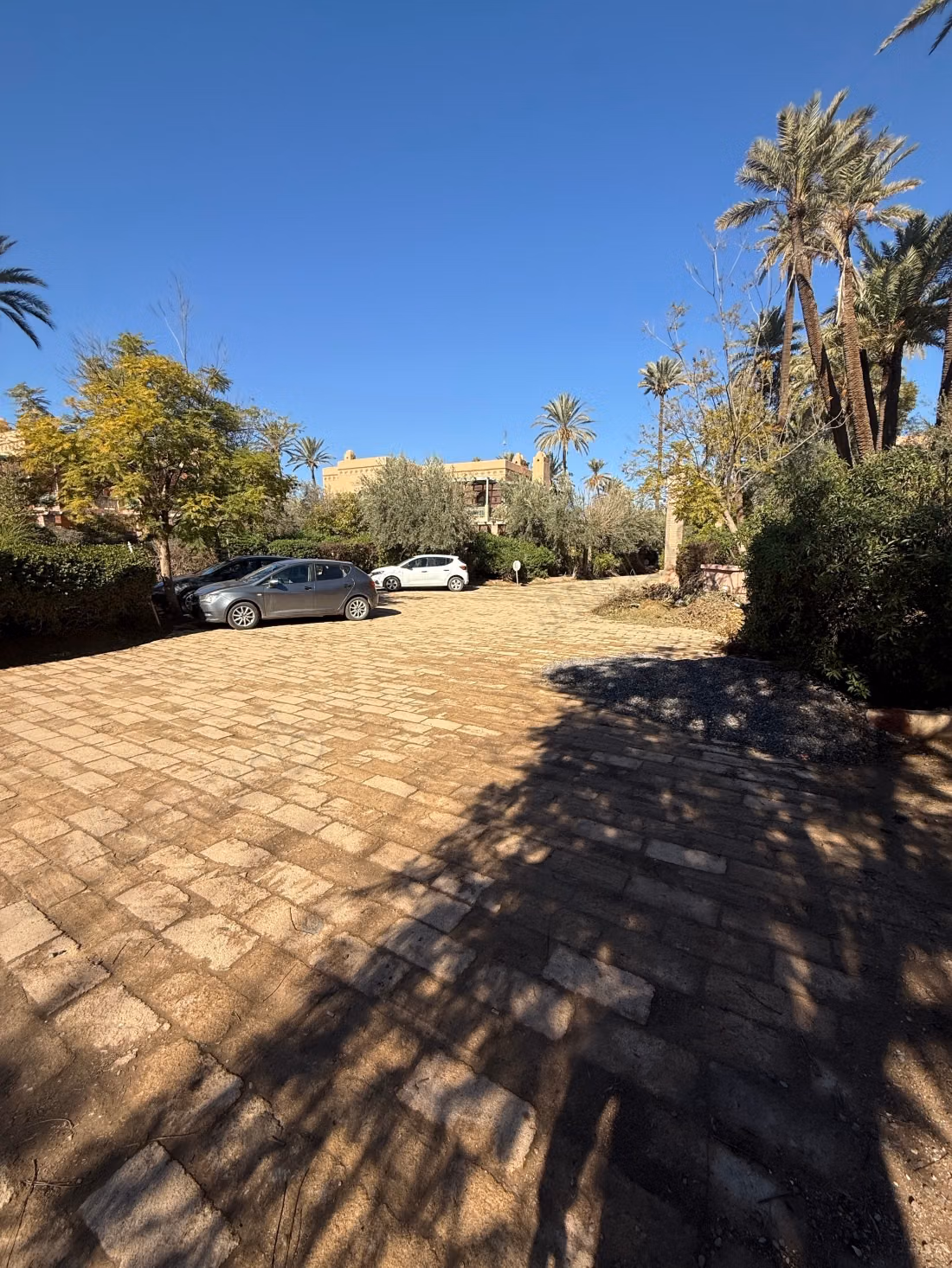 Rez de jardin meublé sur la palmeraie
