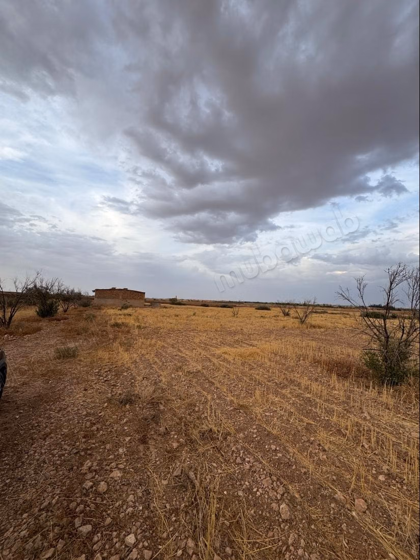 Terrain en vente à Tameslohte.
Superficie 40000 m²