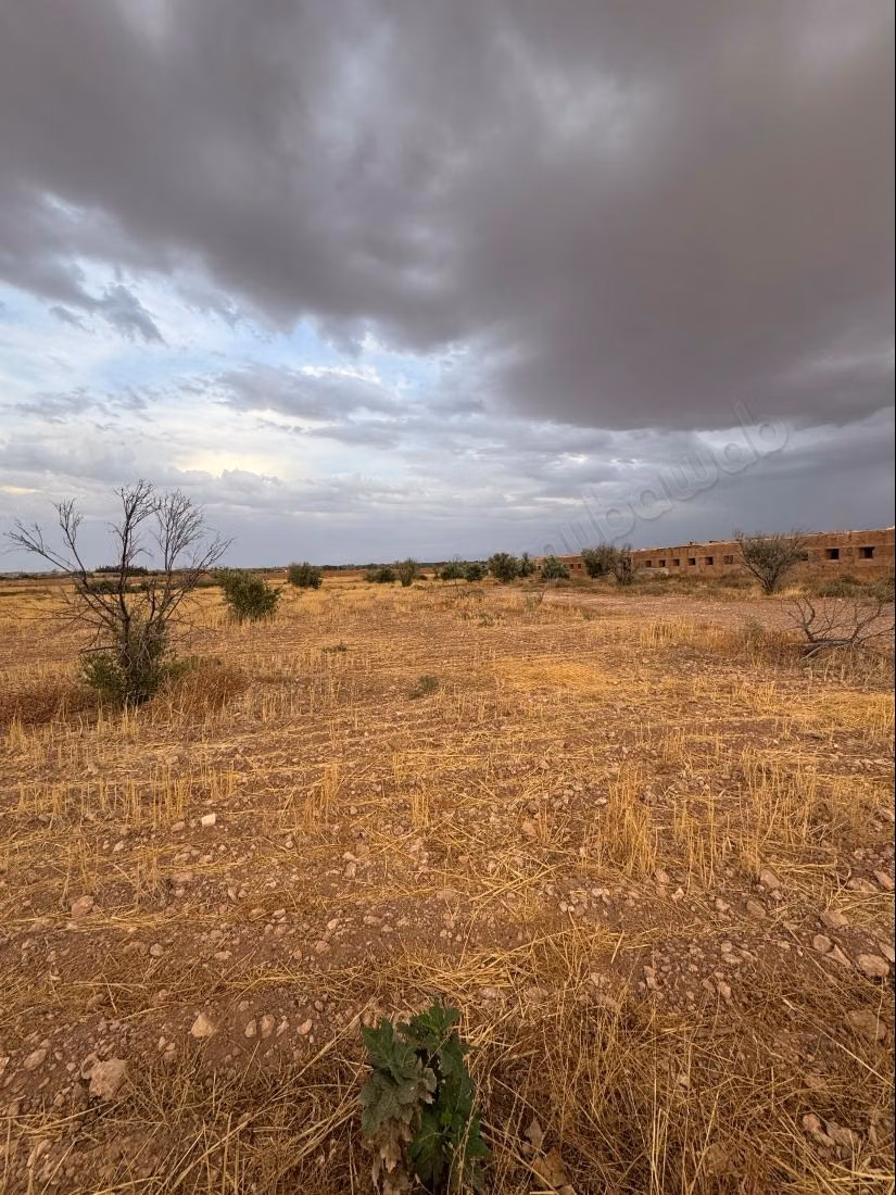Terrain en vente à Tameslohte.
Superficie 40000 m²