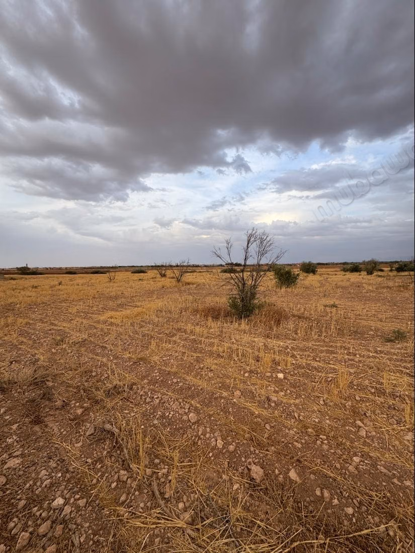 Terrain en vente à Tameslohte.
Superficie 40000 m²