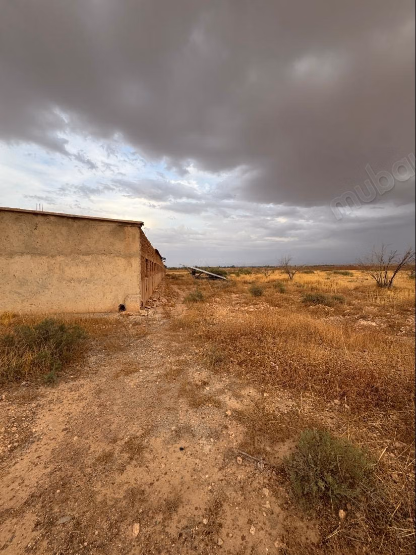 Terrain en vente à Tameslohte.
Superficie 40000 m²