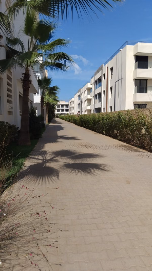 Superbe appartement spacieux et lumineux à louer