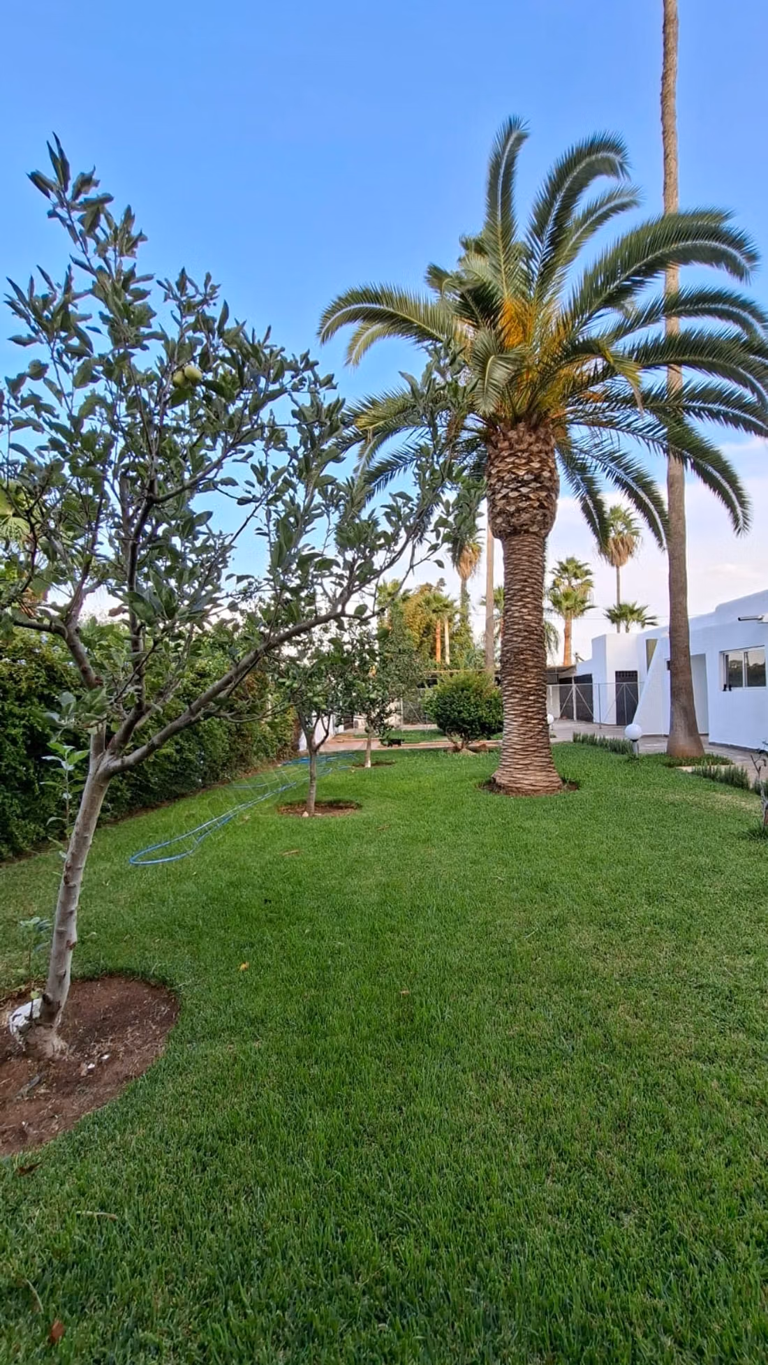 Location villa de luxe à Quartier Souissi